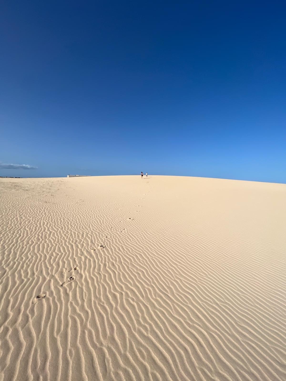 Tired of crowded beaches?