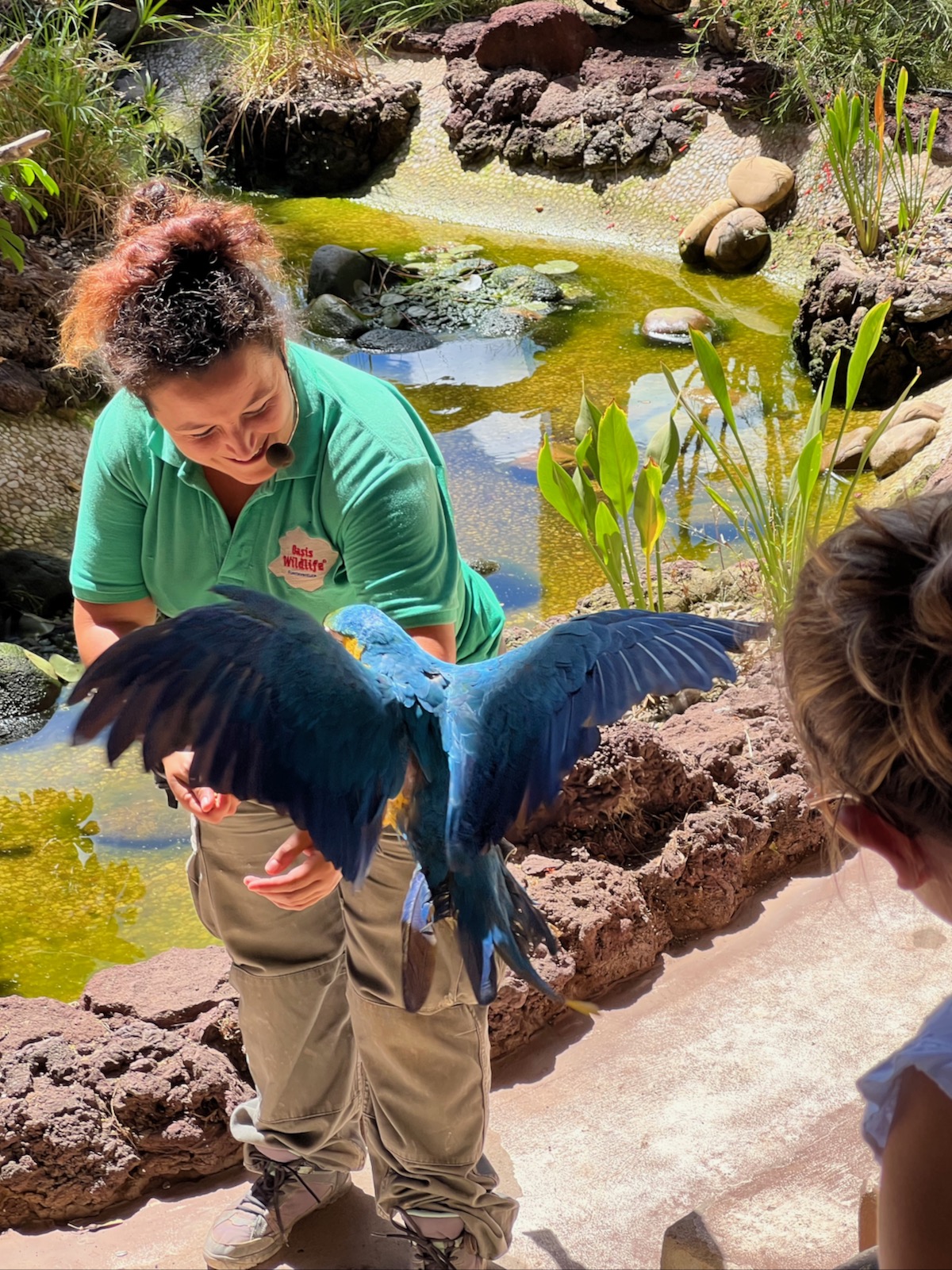 One of the amazing shows in the Oasis Wildlife Zoo